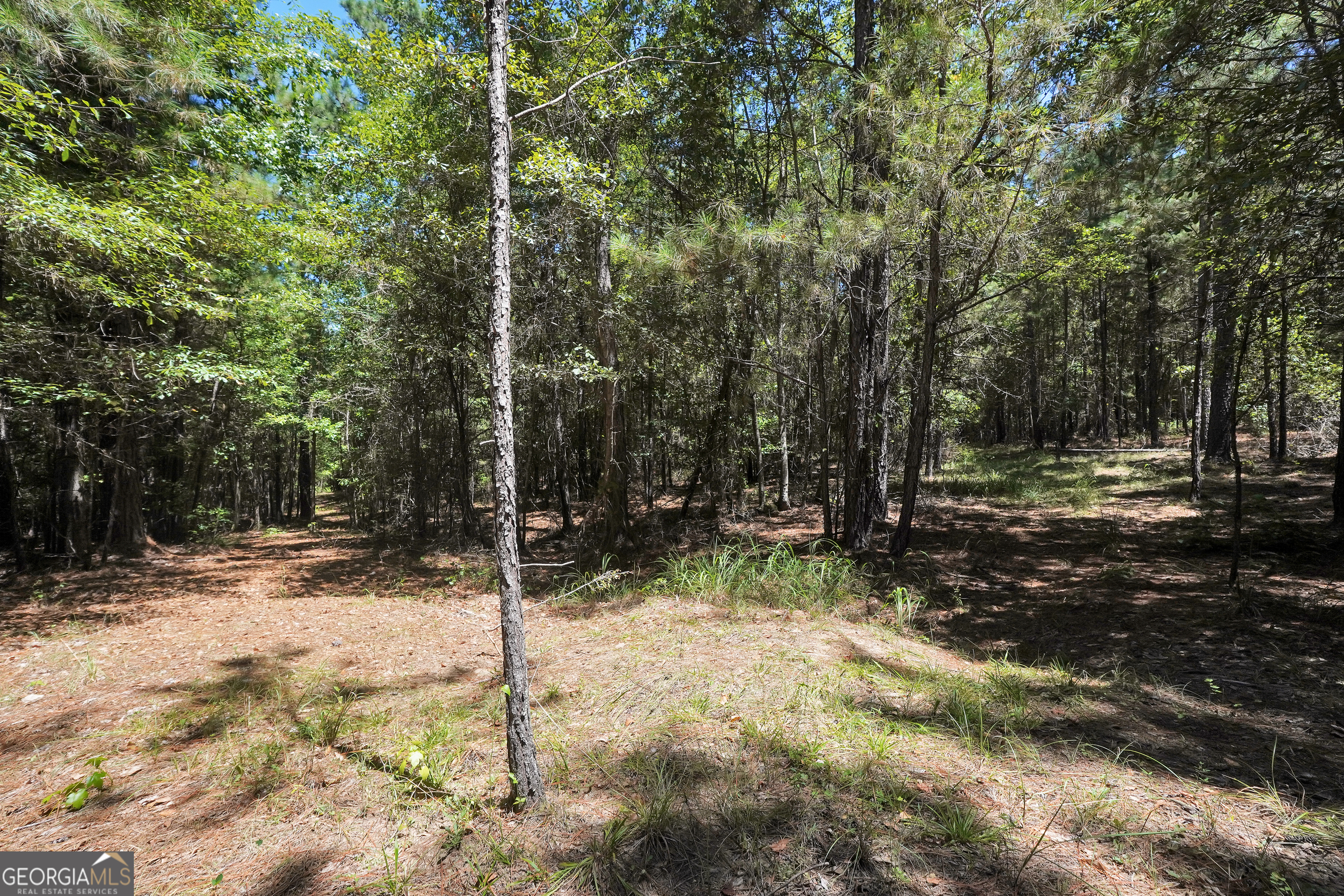 0 Scuffleboro Road Eatonton GA 31024