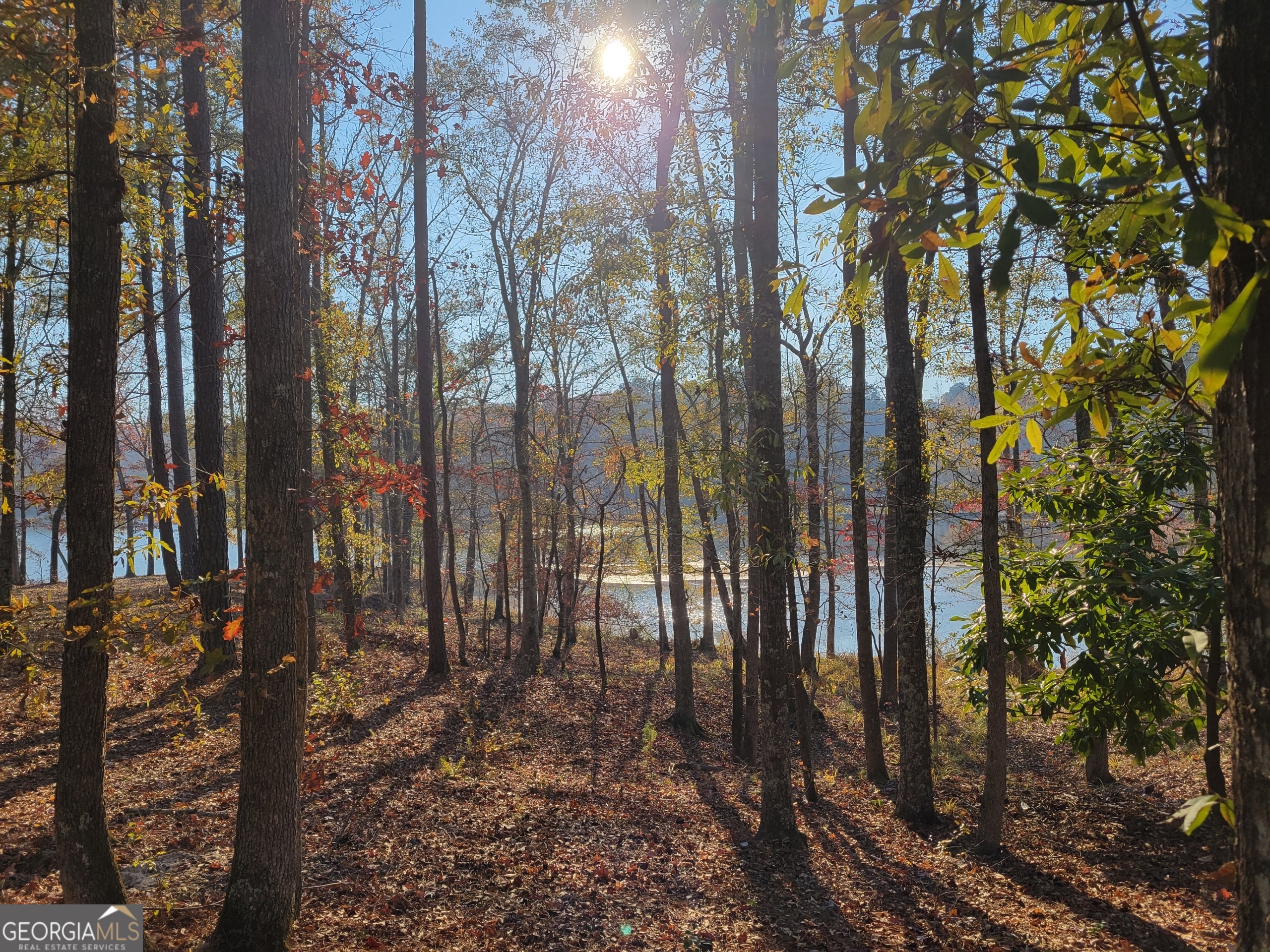 0 Scuffleboro Road Eatonton GA 31024