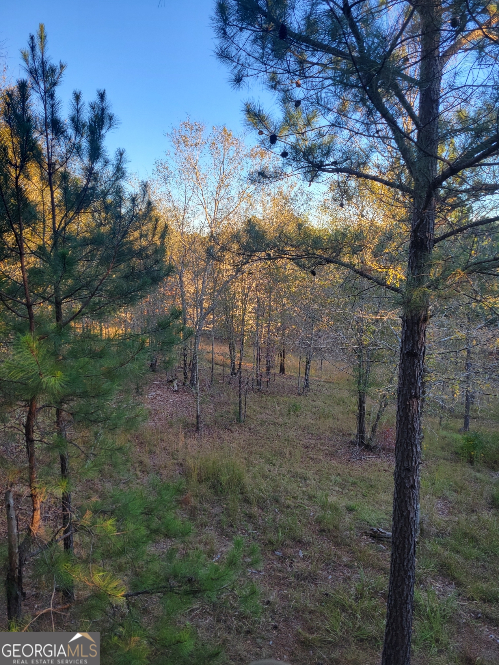 0 Scuffleboro Road Eatonton GA 31024