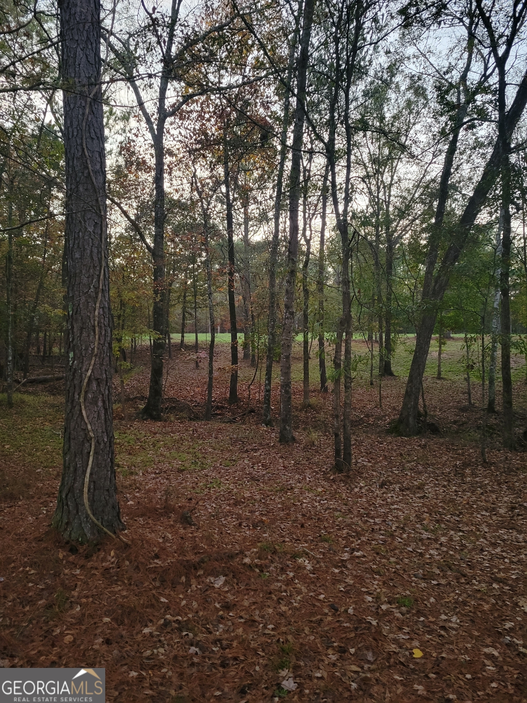 0 Scuffleboro Road Eatonton GA 31024