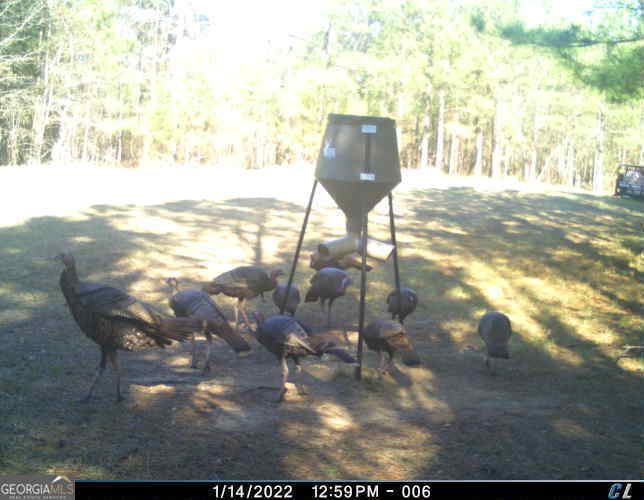 0 Scuffleboro Road Eatonton GA 31024