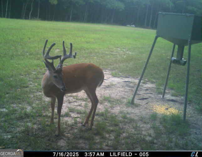 0 Scuffleboro Road Eatonton GA 31024