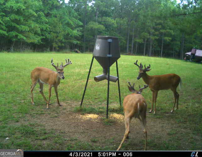 0 Scuffleboro Road Eatonton GA 31024