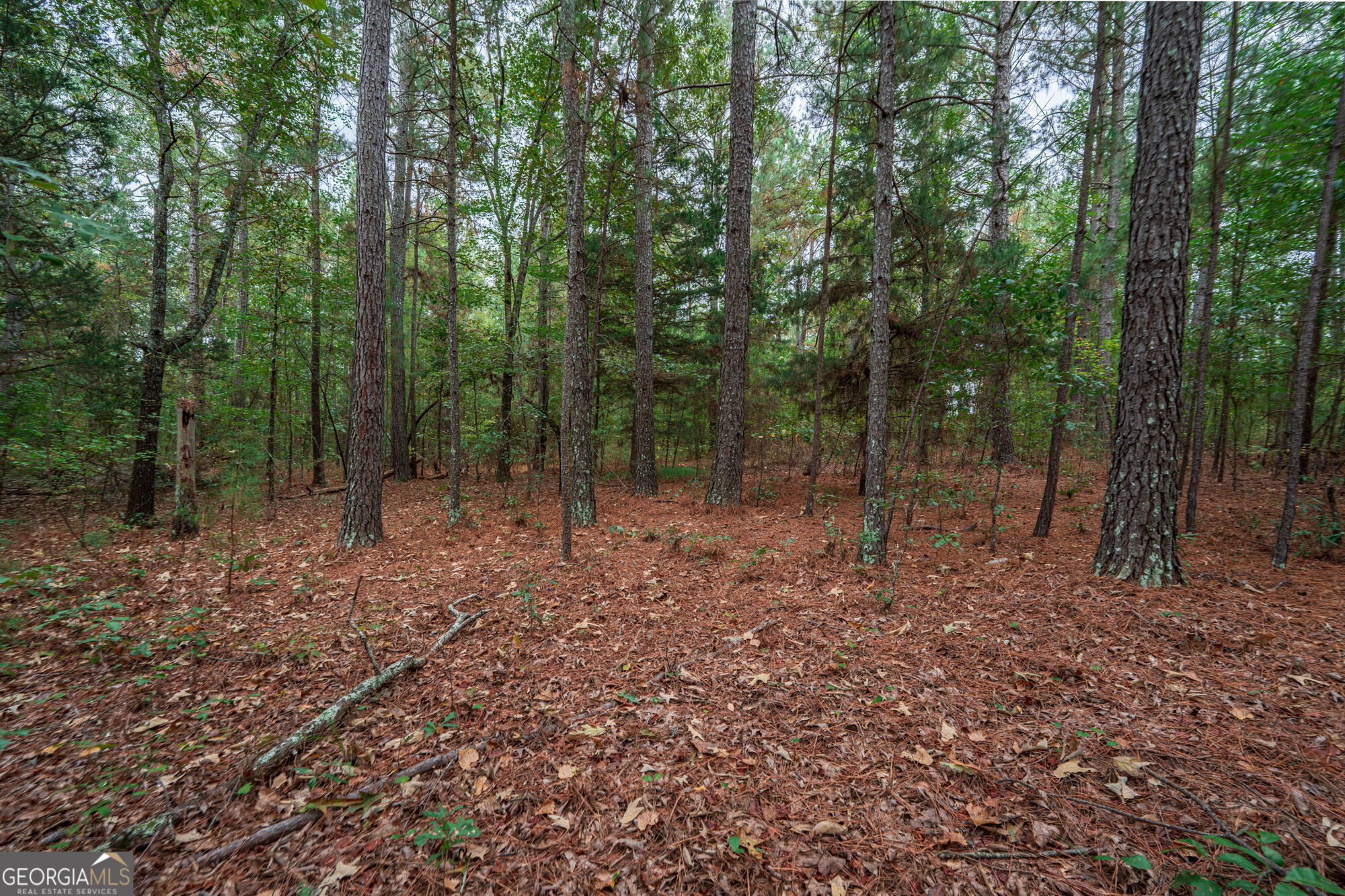 0 Abercrombie Road Culloden GA 31016