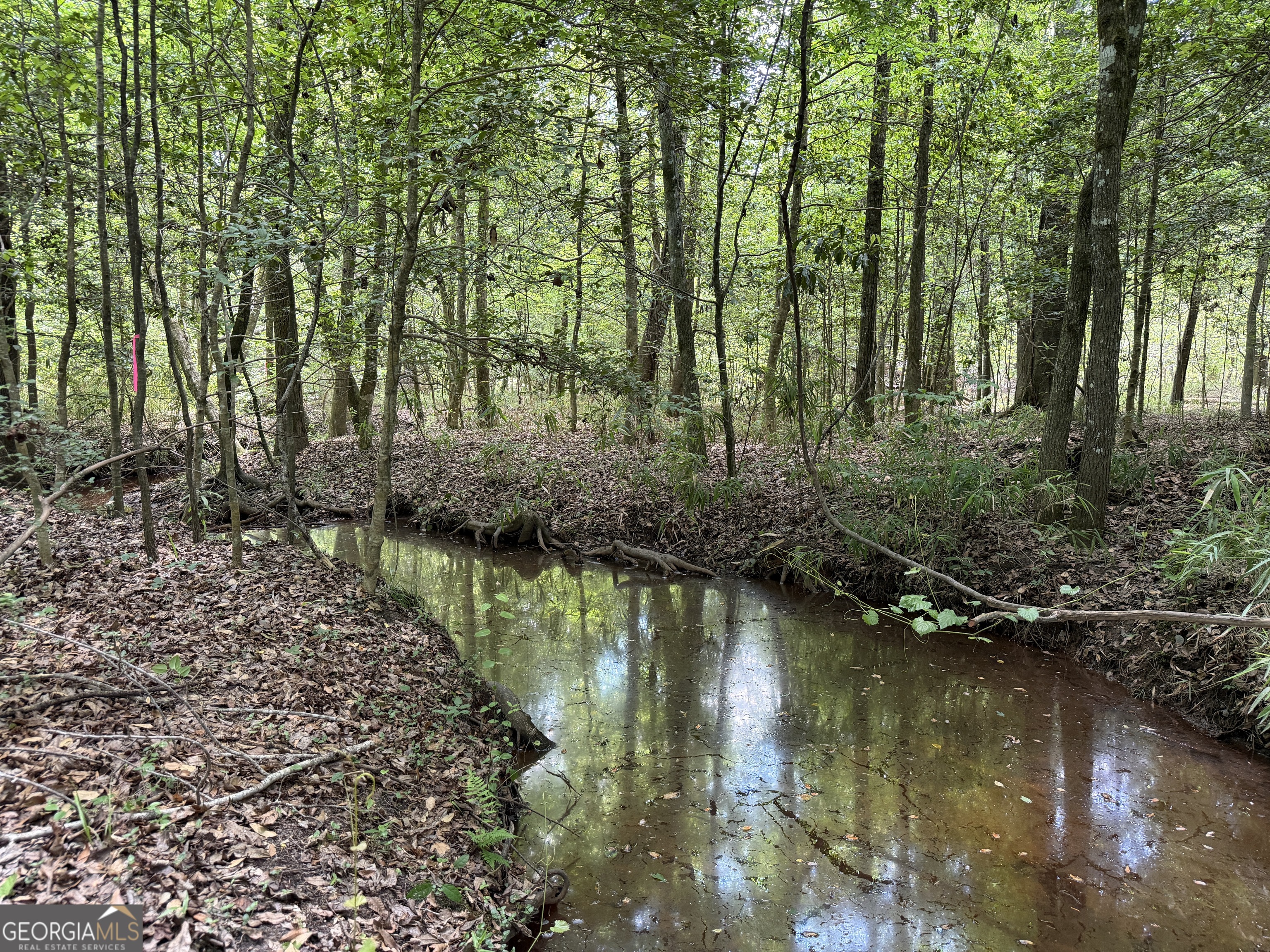 025 Long Branch Road Toomsboro GA 31090