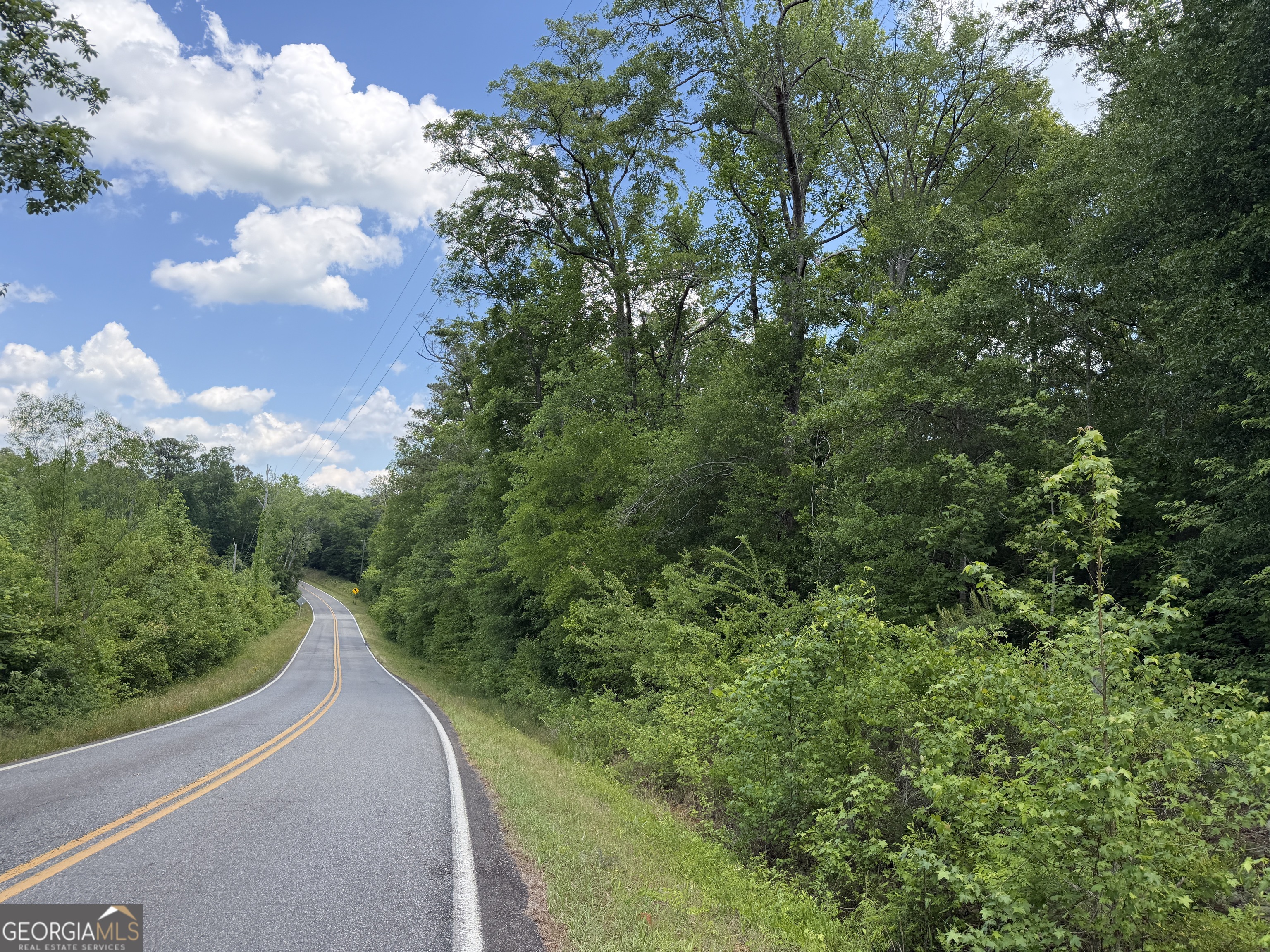 025 Long Branch Road Toomsboro GA 31090