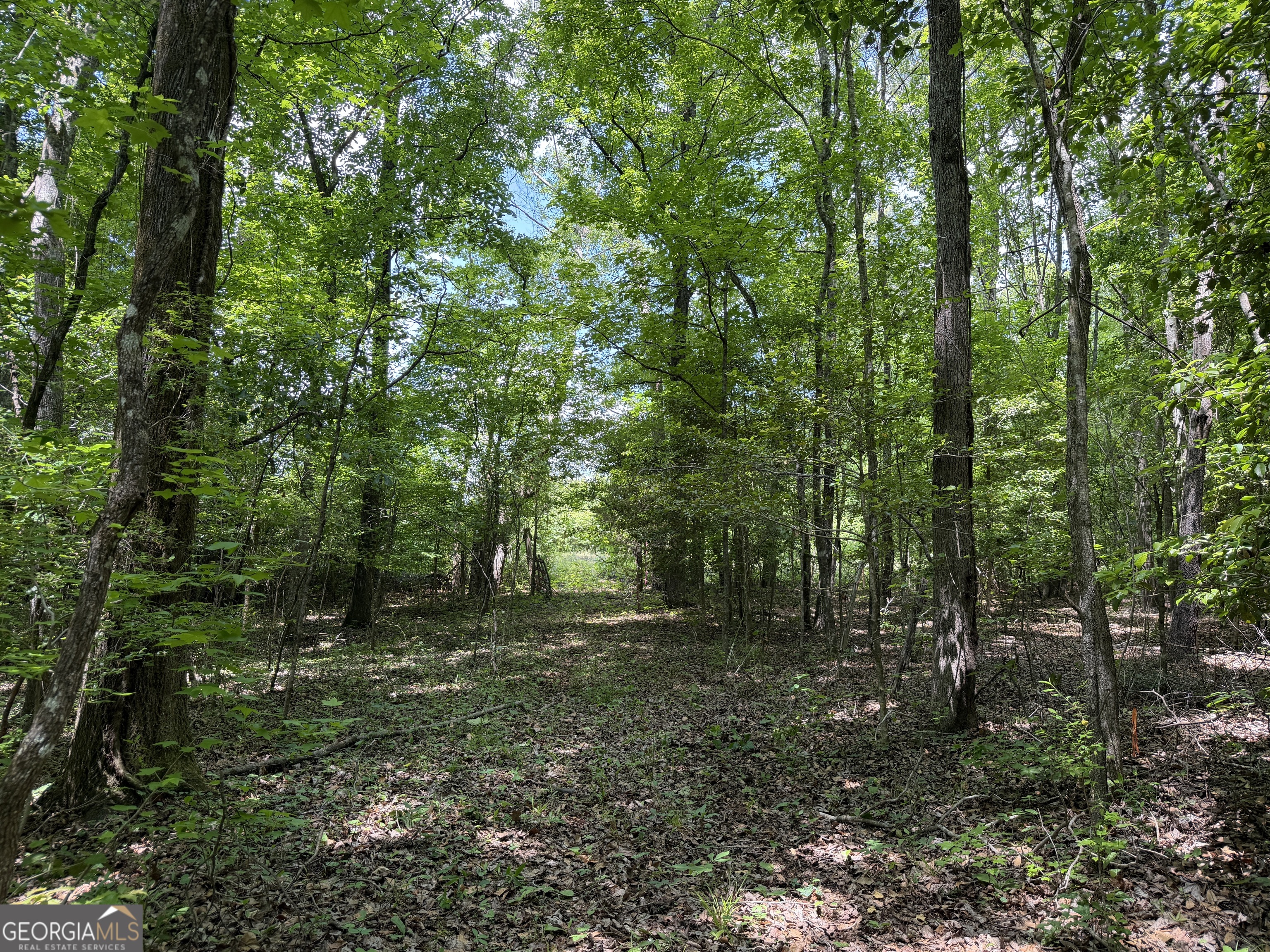 025 Long Branch Road Toomsboro GA 31090