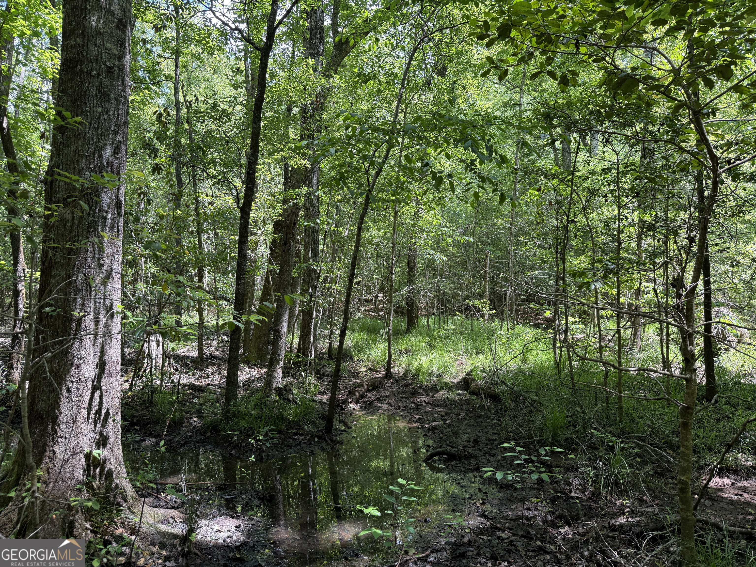 025 Long Branch Road Toomsboro GA 31090
