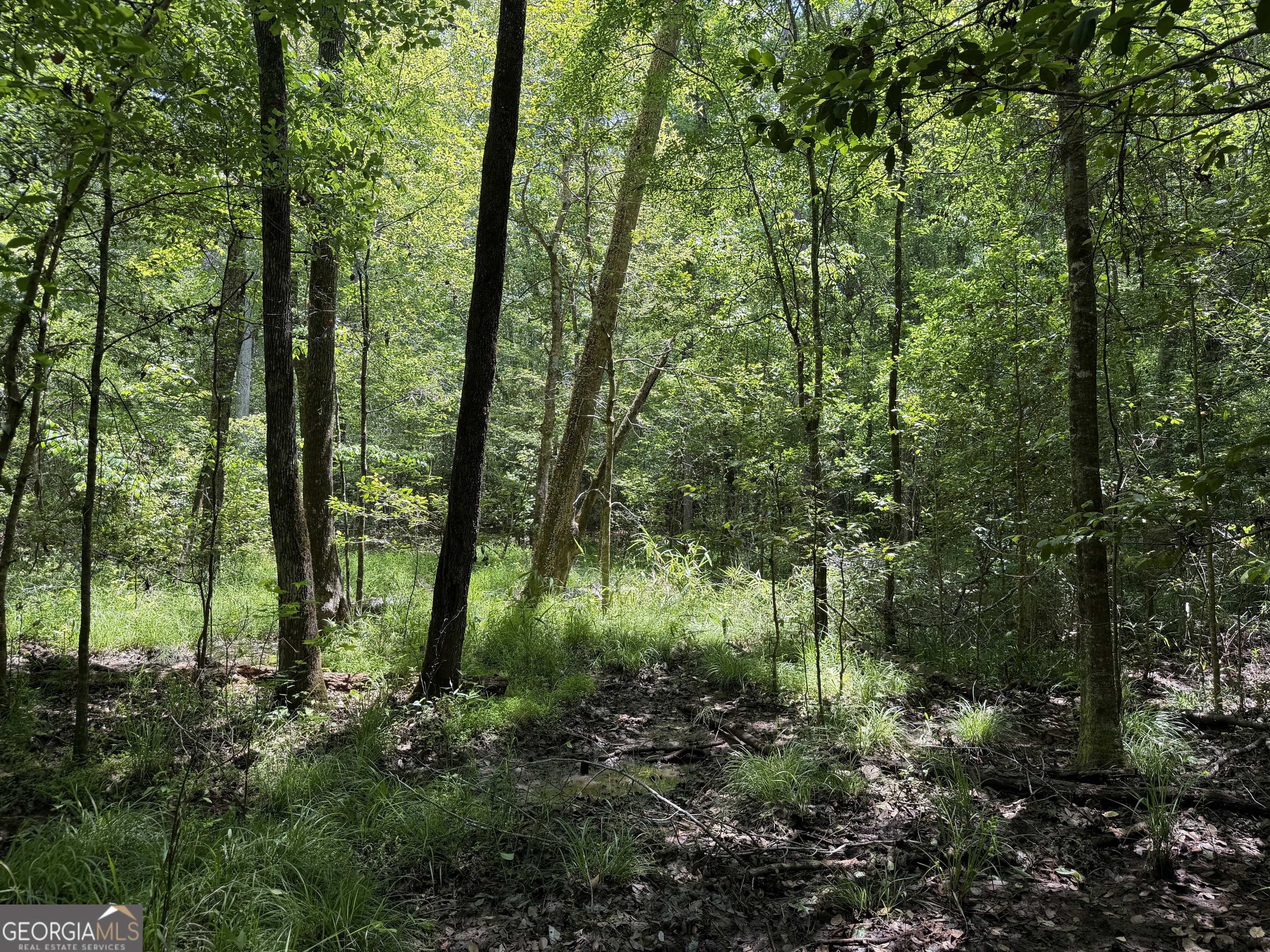 025 Long Branch Road Toomsboro GA 31090