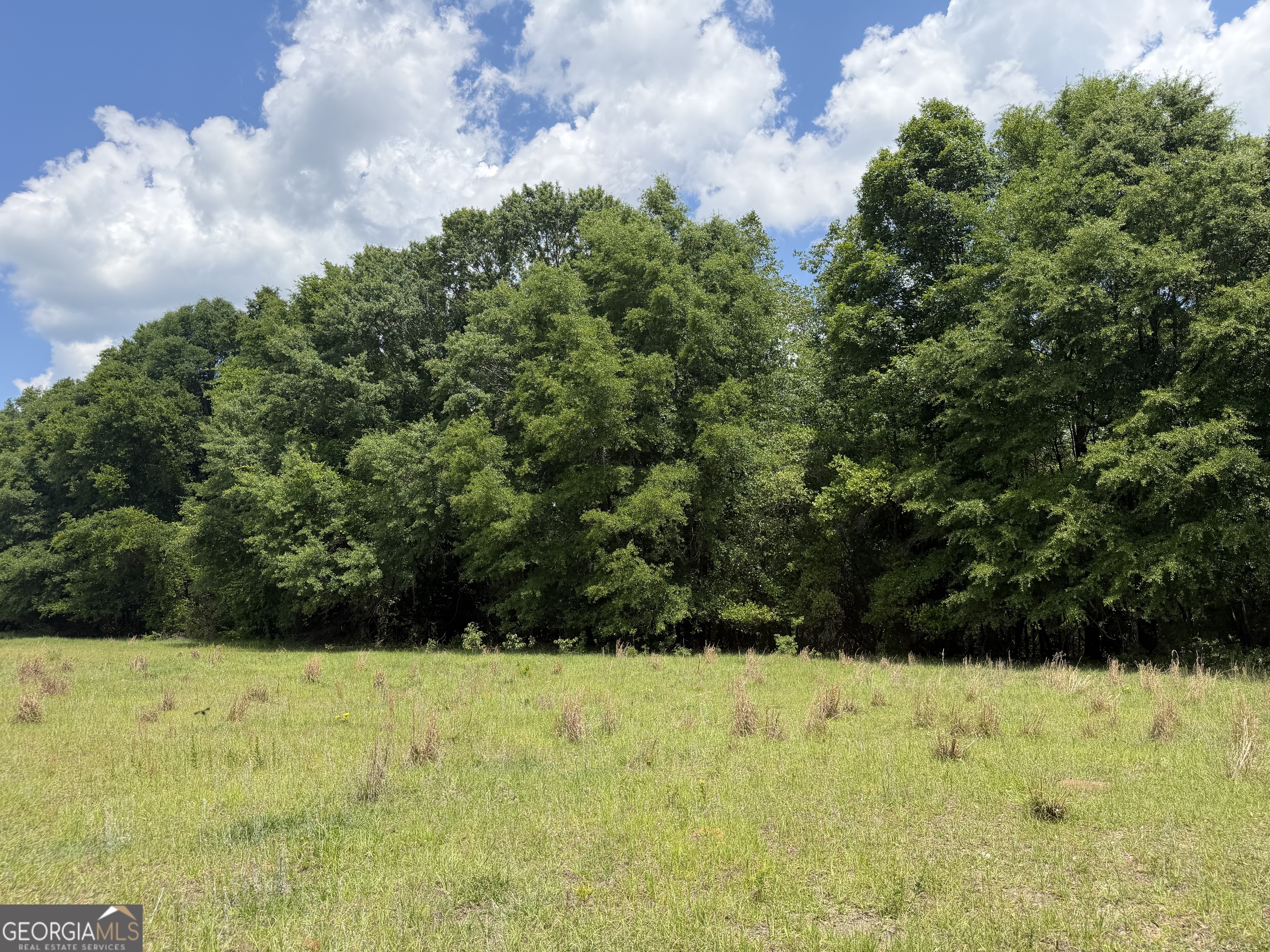 025 Long Branch Road Toomsboro GA 31090