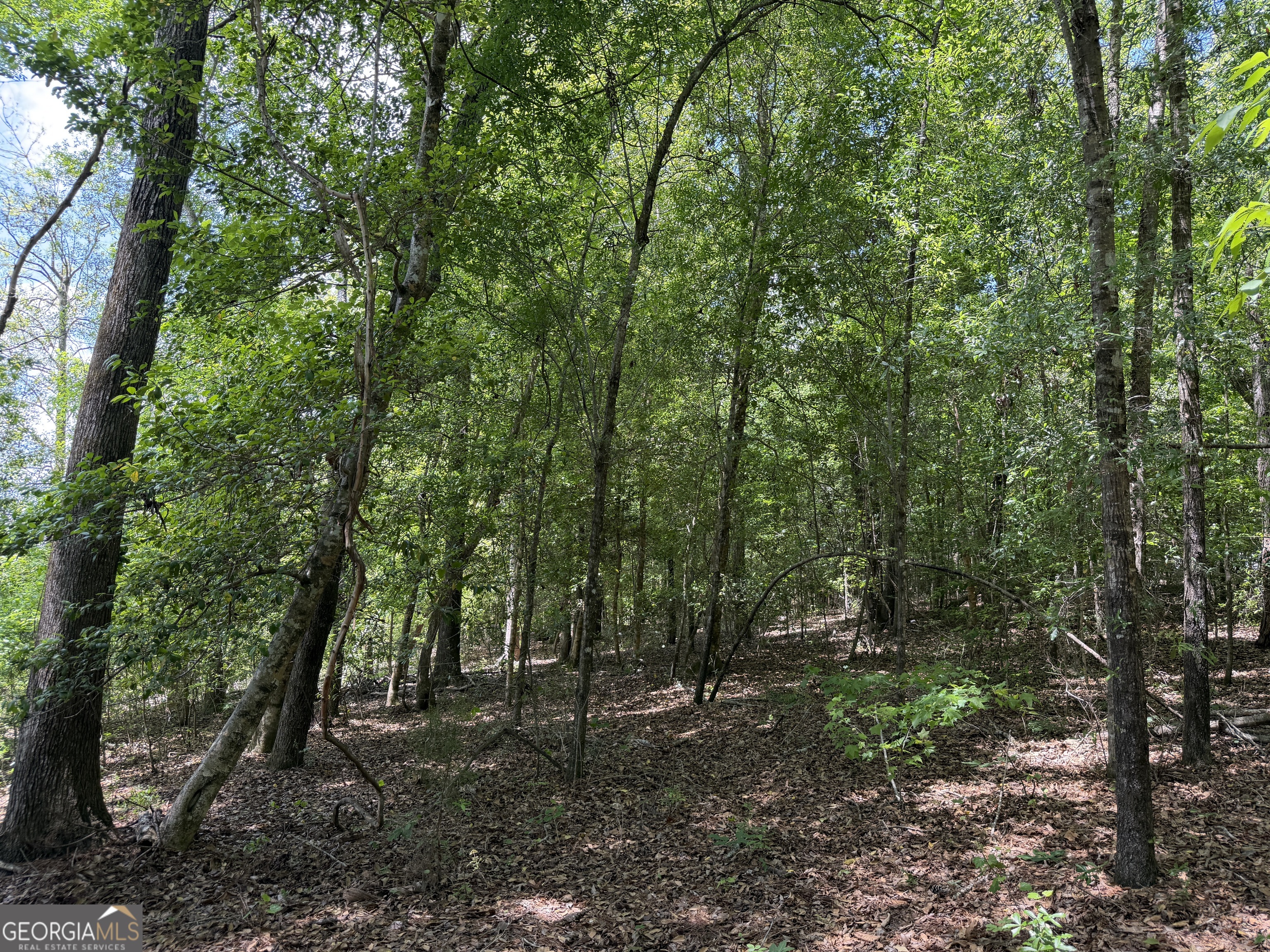 025 Long Branch Road Toomsboro GA 31090