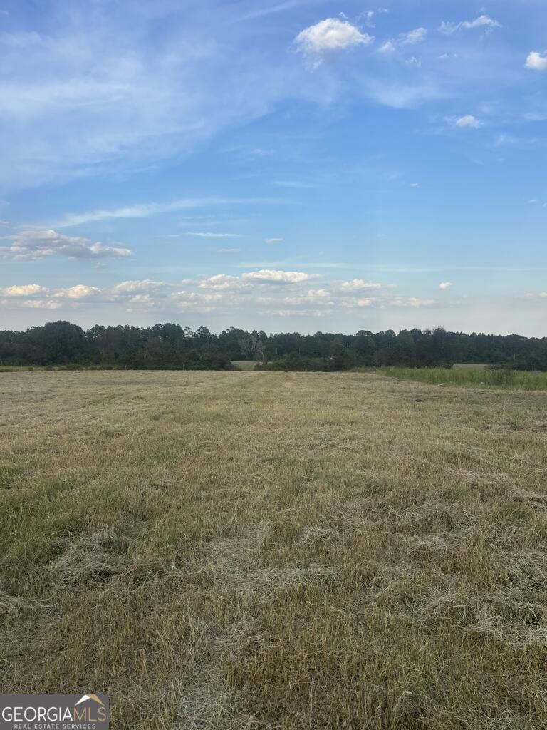 63 Hayes Road Mauk GA 31058