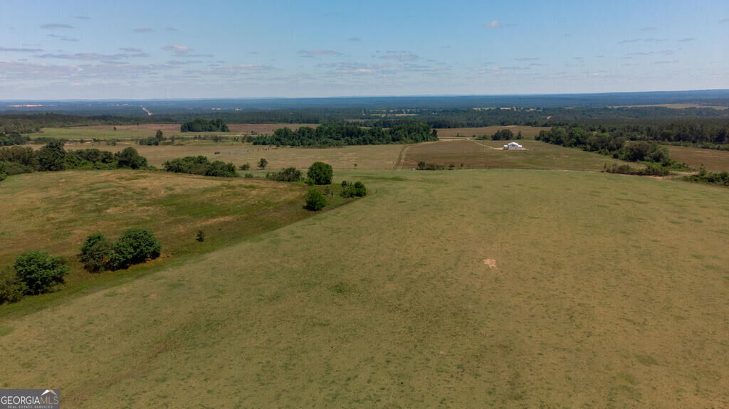 63 Hayes Road Mauk GA 31058