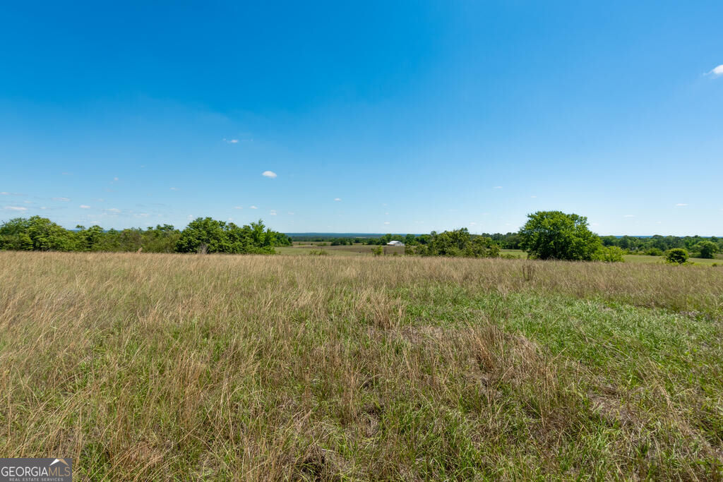 63 Hayes Road Mauk GA 31058