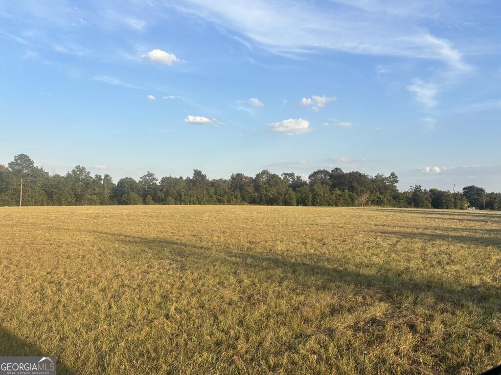 63 Hayes Road Mauk GA 31058