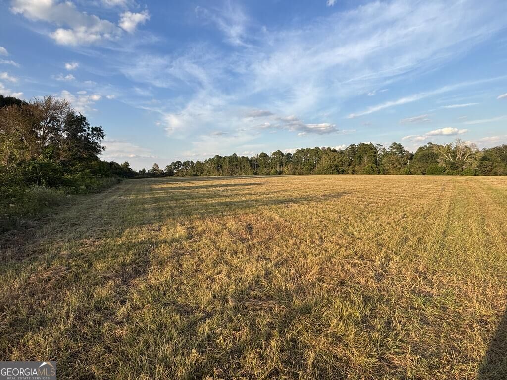 63 Hayes Road Mauk GA 31058