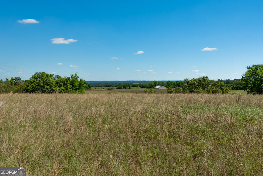 63 Hayes Road Mauk GA 31058