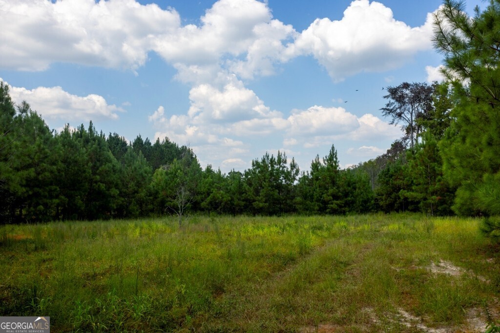 0 Hudson Ferry Road & Newington Highway Newington GA 30446