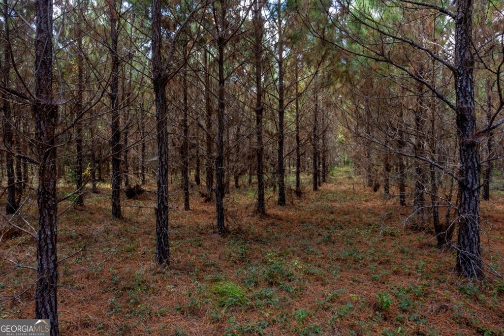 0 Hudson Ferry Road & Newington Highway Newington GA 30446
