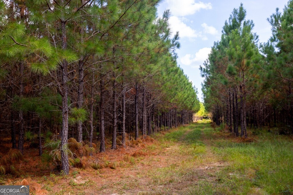 0 Hudson Ferry Road & Newington Highway Newington GA 30446