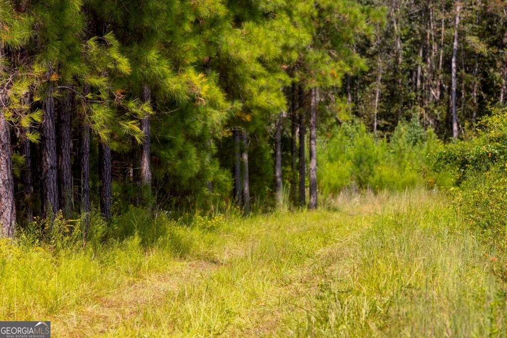 0 Hudson Ferry Road & Newington Highway Newington GA 30446