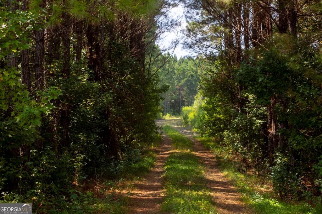0 Hudson Ferry Road & Newington Highway Newington GA 30446