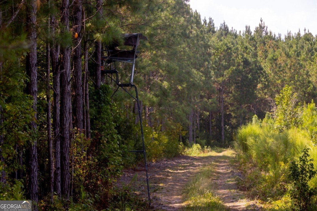 0 Hudson Ferry Road & Newington Highway Newington GA 30446