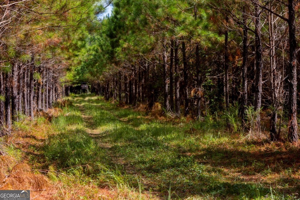 0 Hudson Ferry Road & Newington Highway Newington GA 30446