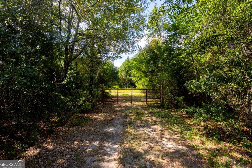 0 Hudson Ferry Road & Newington Highway Newington GA 30446