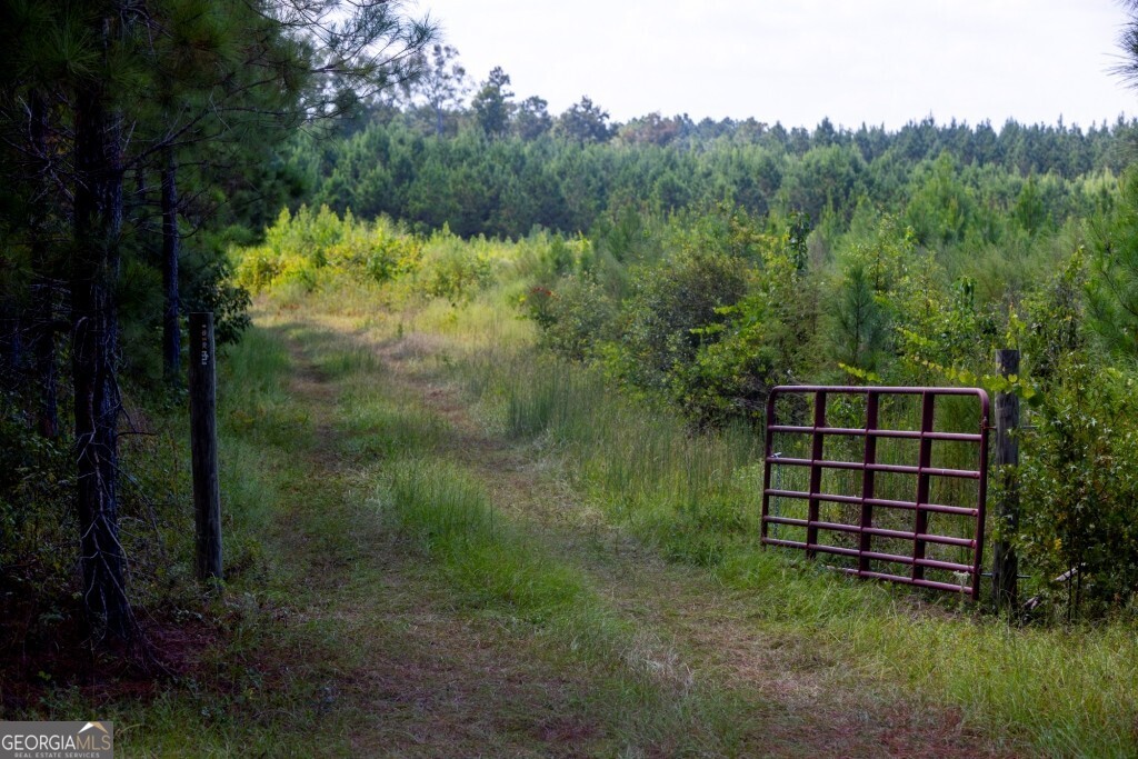 0 Hudson Ferry Road & Newington Highway Newington GA 30446