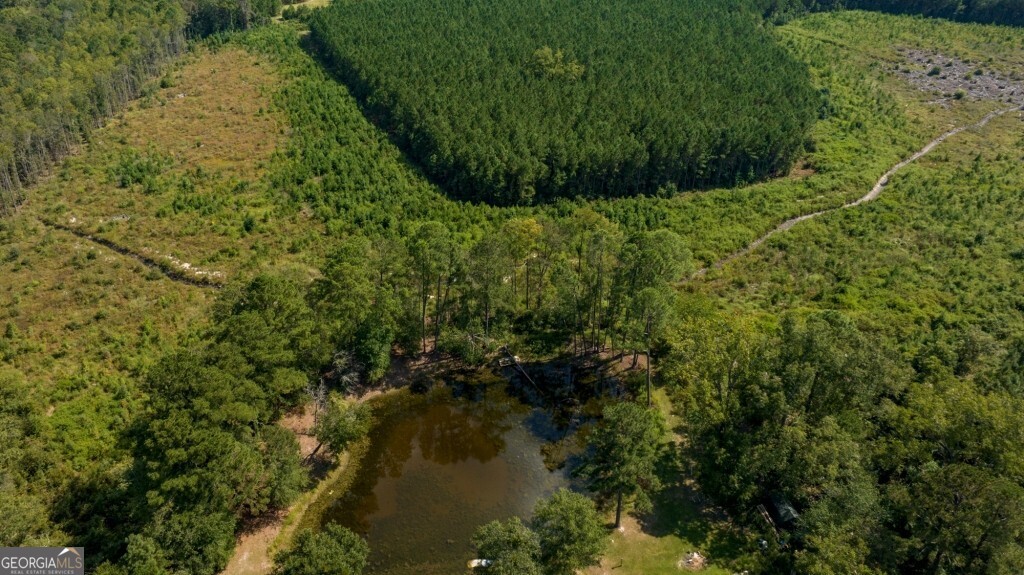 0 Hudson Ferry Road & Newington Highway Newington GA 30446