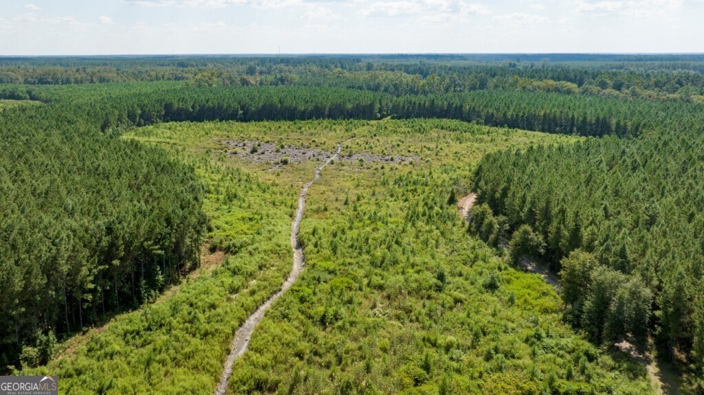 0 Hudson Ferry Road & Newington Highway Newington GA 30446