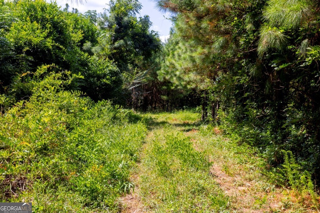 0 Hudson Ferry Road & Newington Highway Newington GA 30446