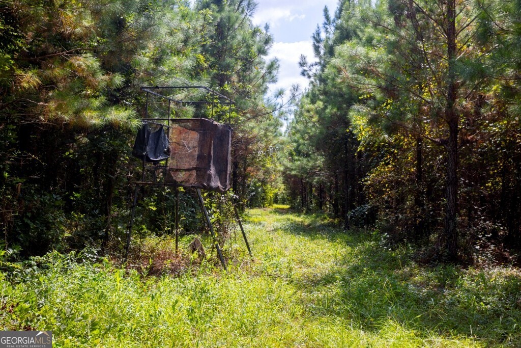 0 Hudson Ferry Road & Newington Highway Newington GA 30446