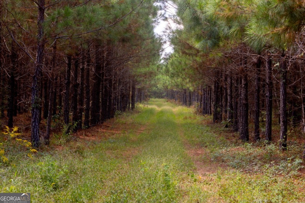 0 Hudson Ferry Road & Newington Highway Newington GA 30446