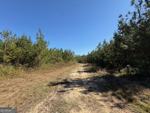 0 Newington Highway Sylvania GA 30467