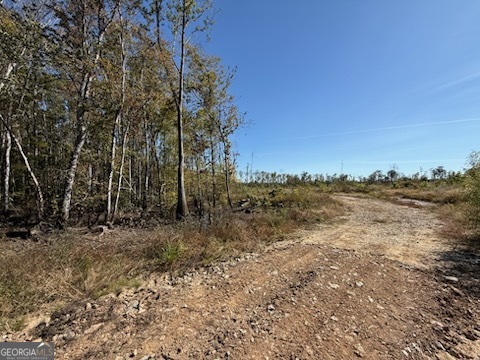 0 Newington Highway Sylvania GA 30467