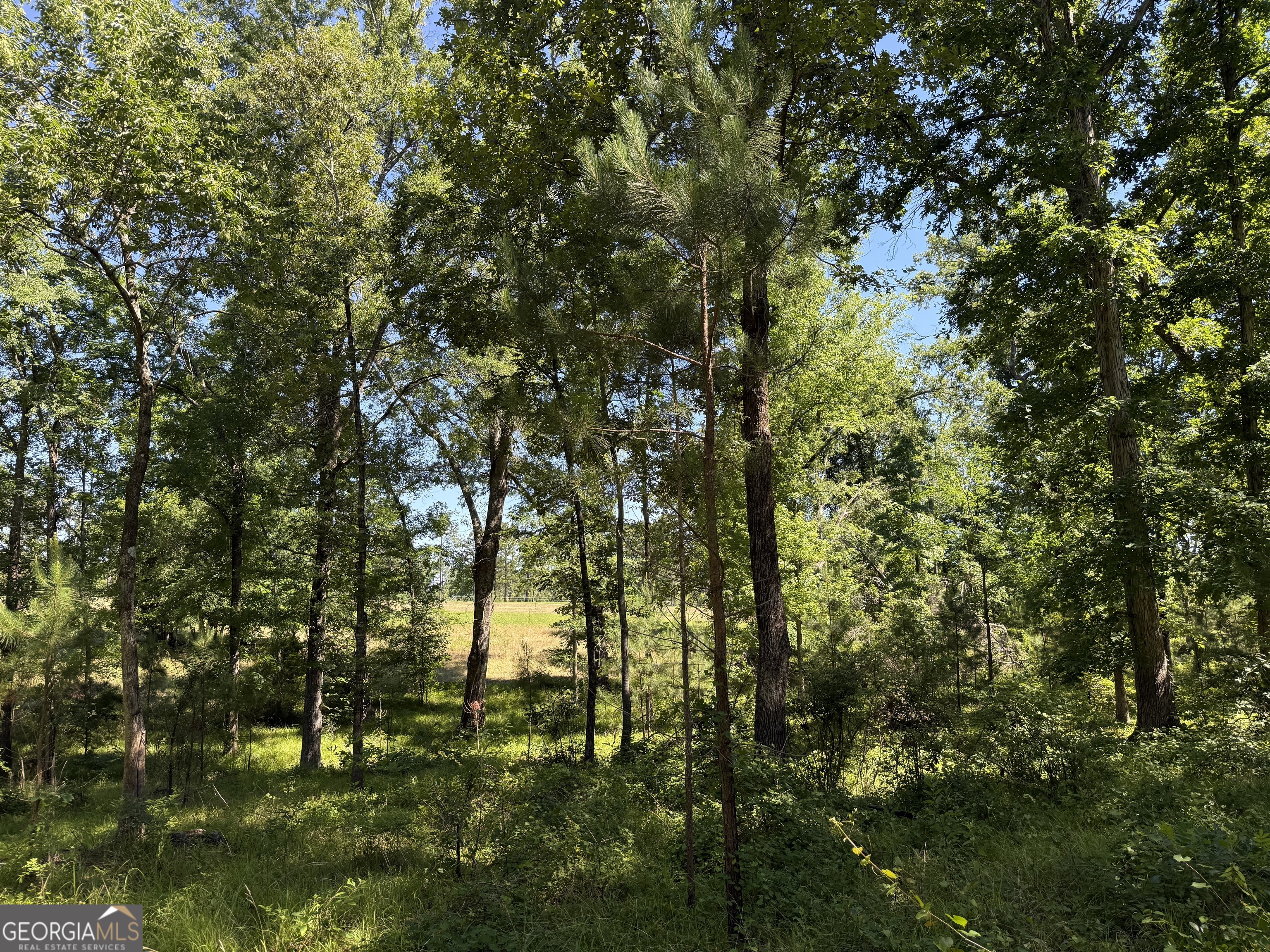 4979 Augusta Highway Lincolnton GA 30817