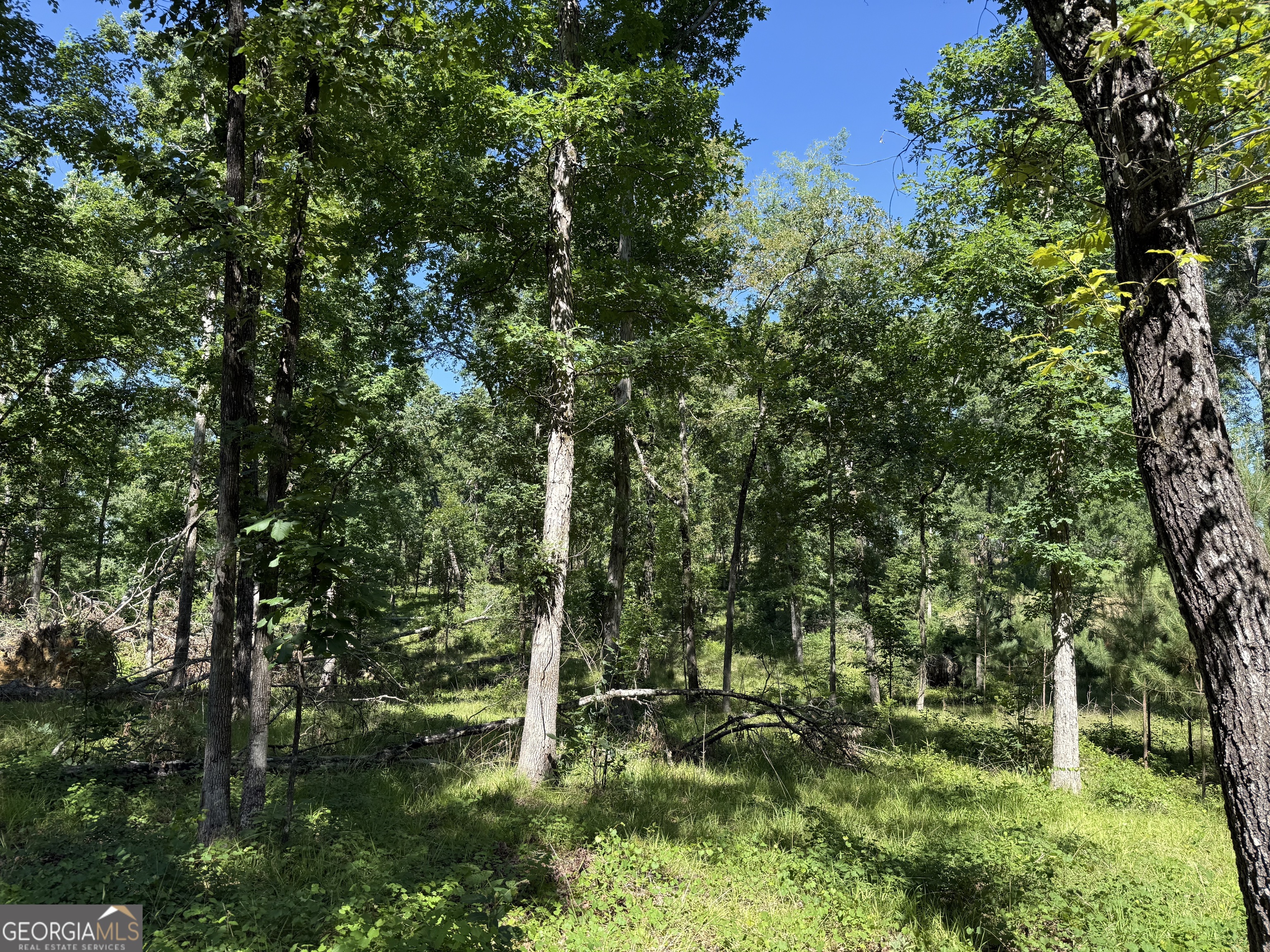 4979 Augusta Highway Lincolnton GA 30817