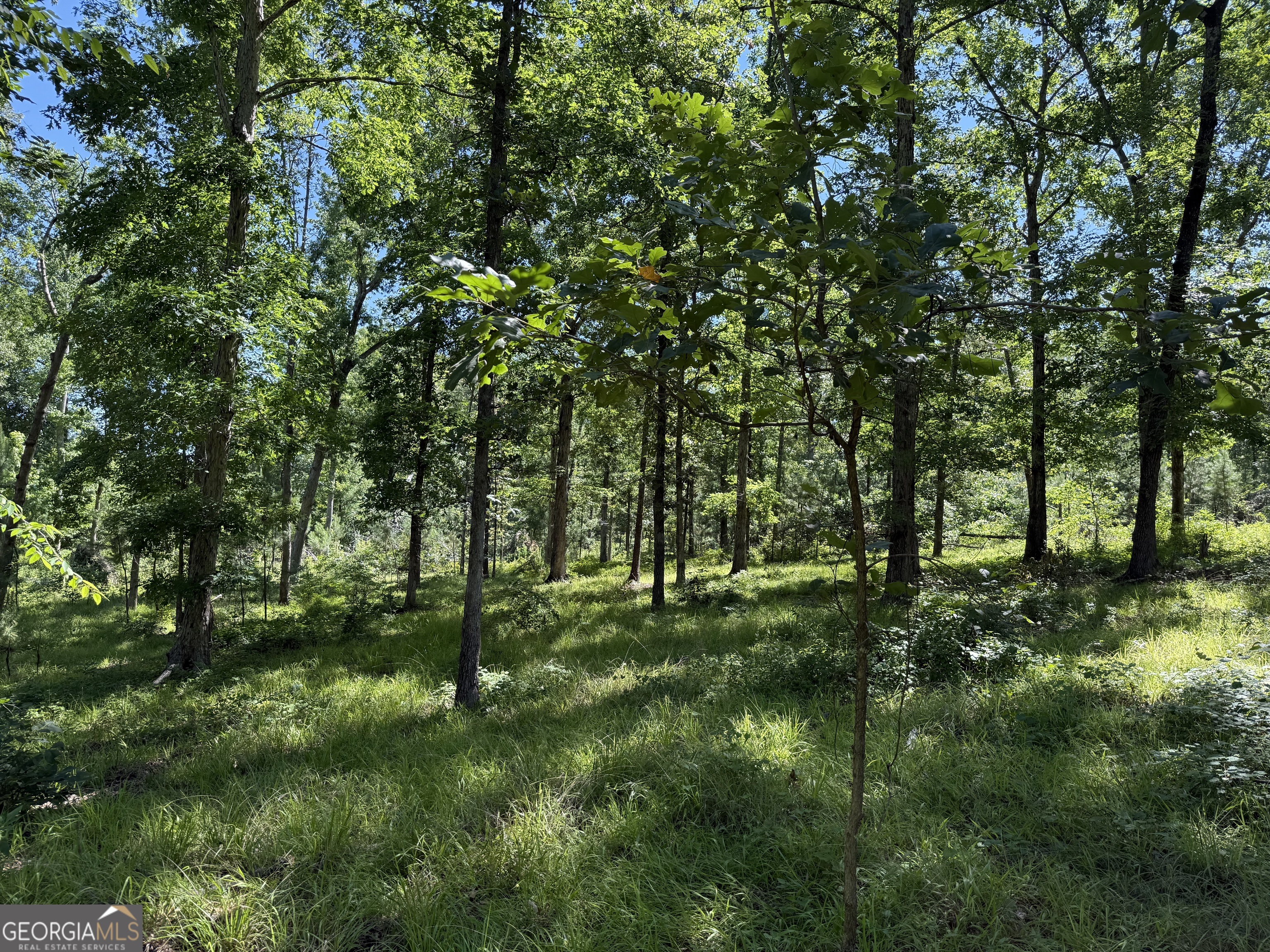 4979 Augusta Highway Lincolnton GA 30817
