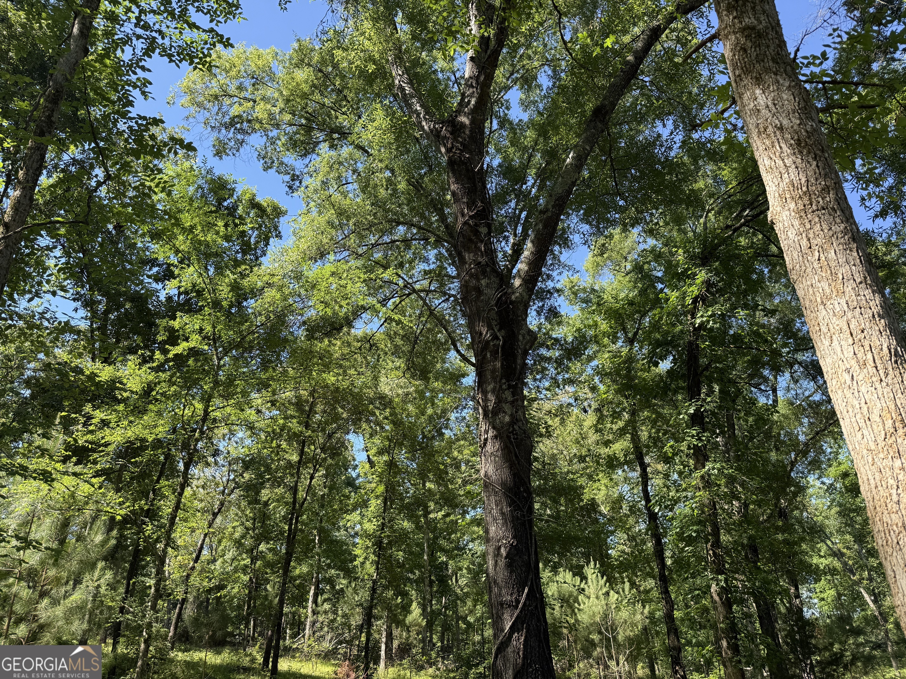 4979 Augusta Highway Lincolnton GA 30817