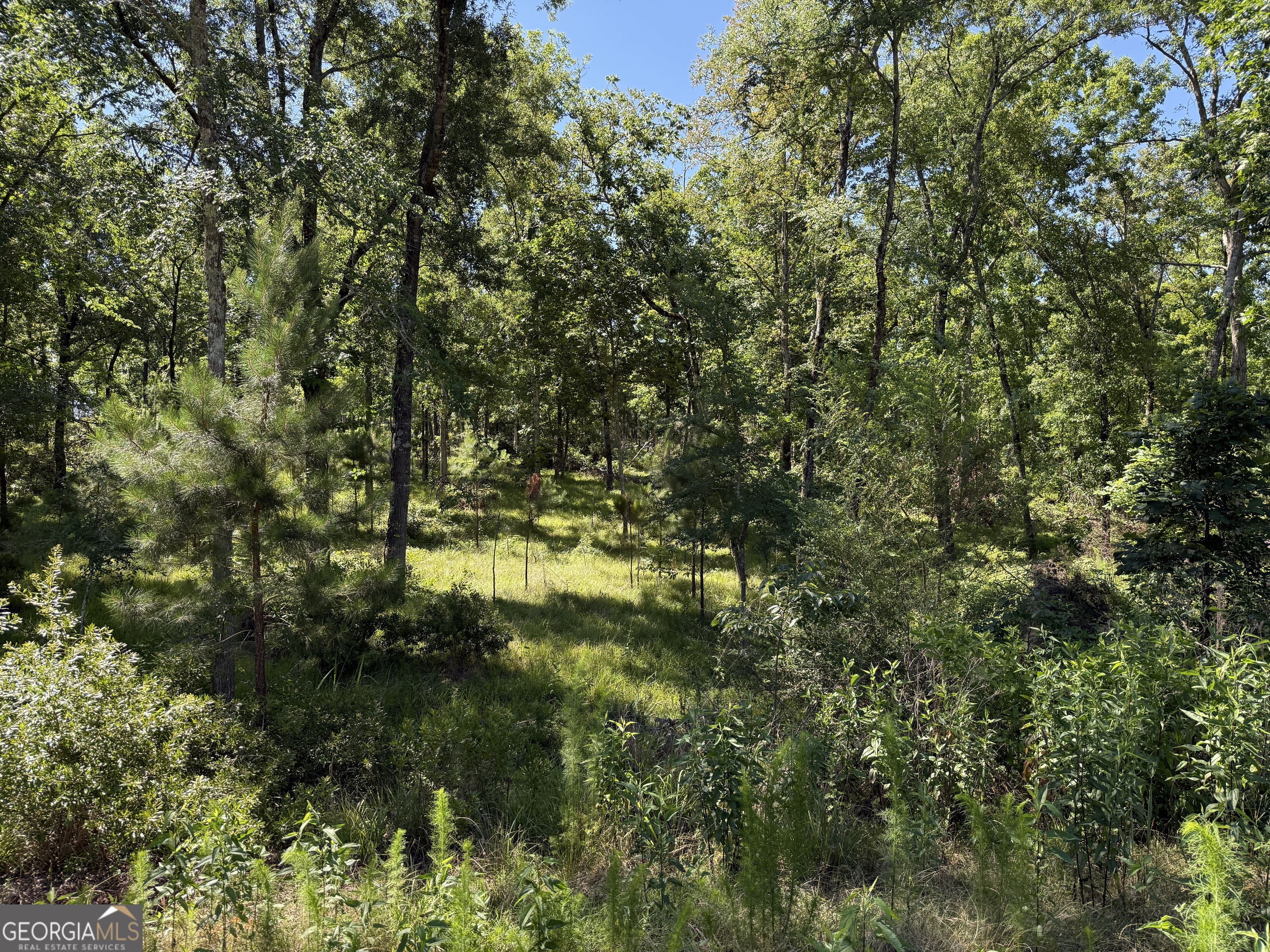 4979 Augusta Highway Lincolnton GA 30817