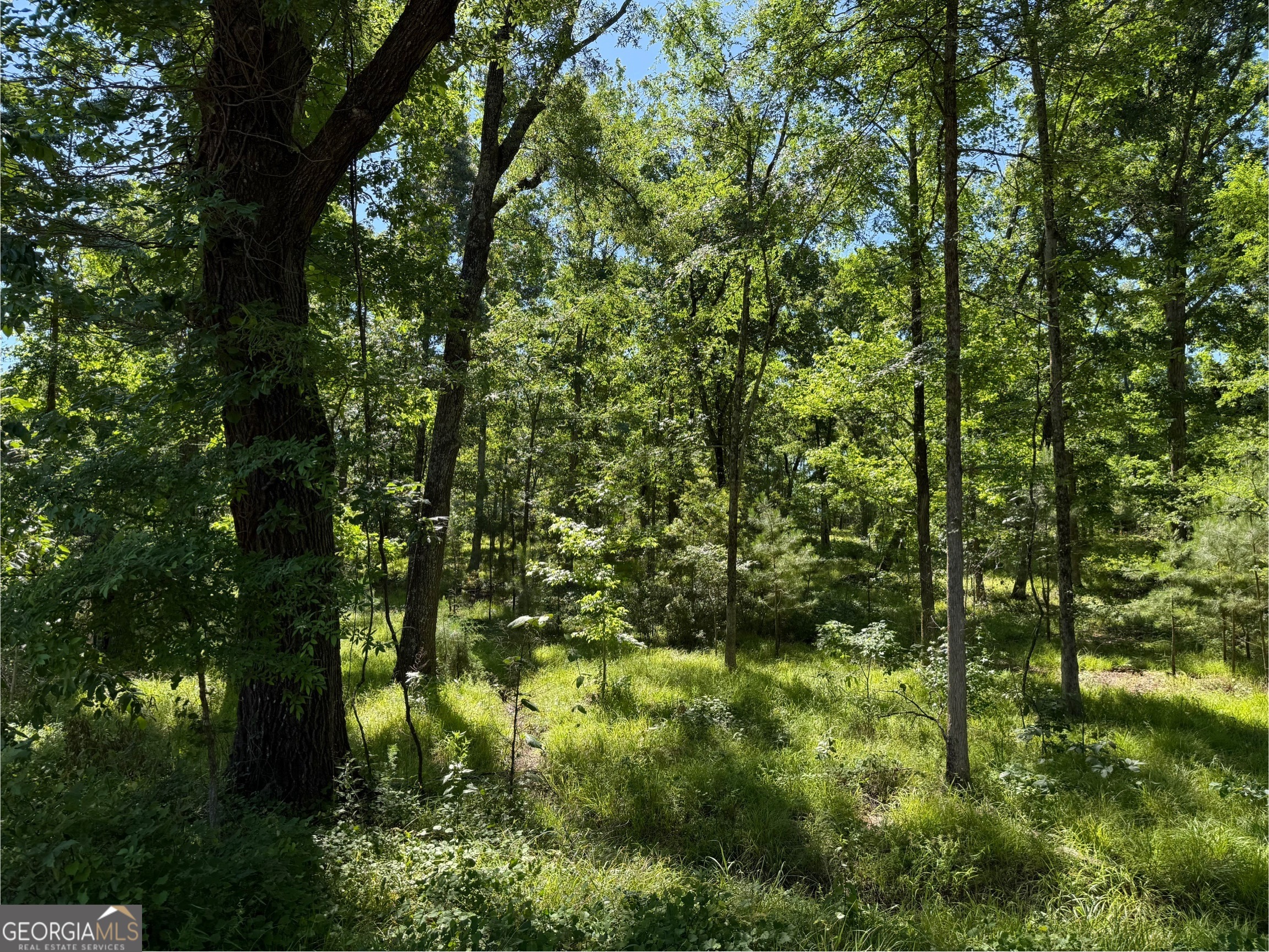 4979 Augusta Highway Lincolnton GA 30817