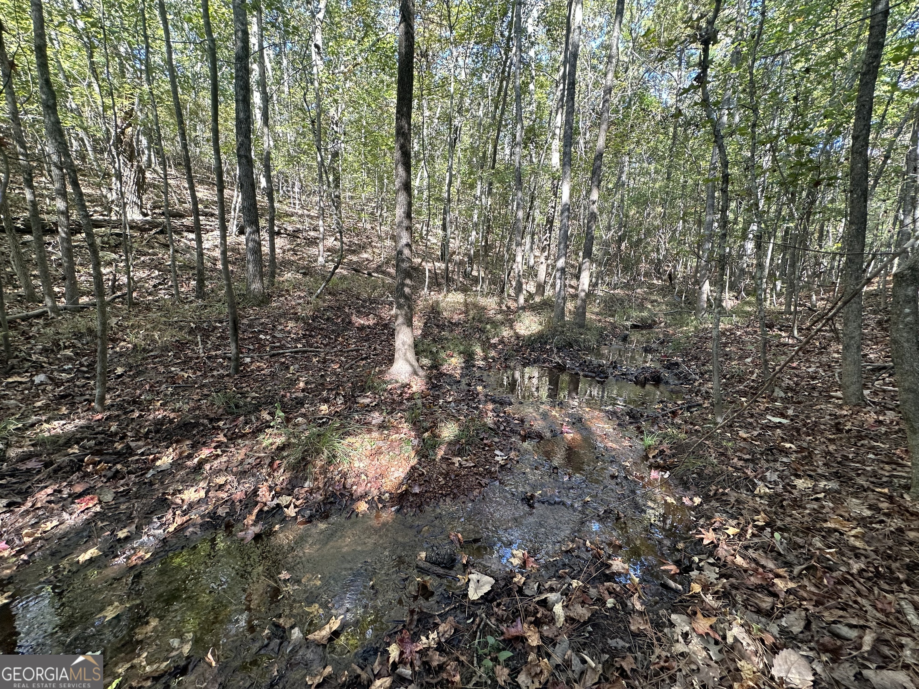 0 Hamp Smith Road Thomaston GA 30286