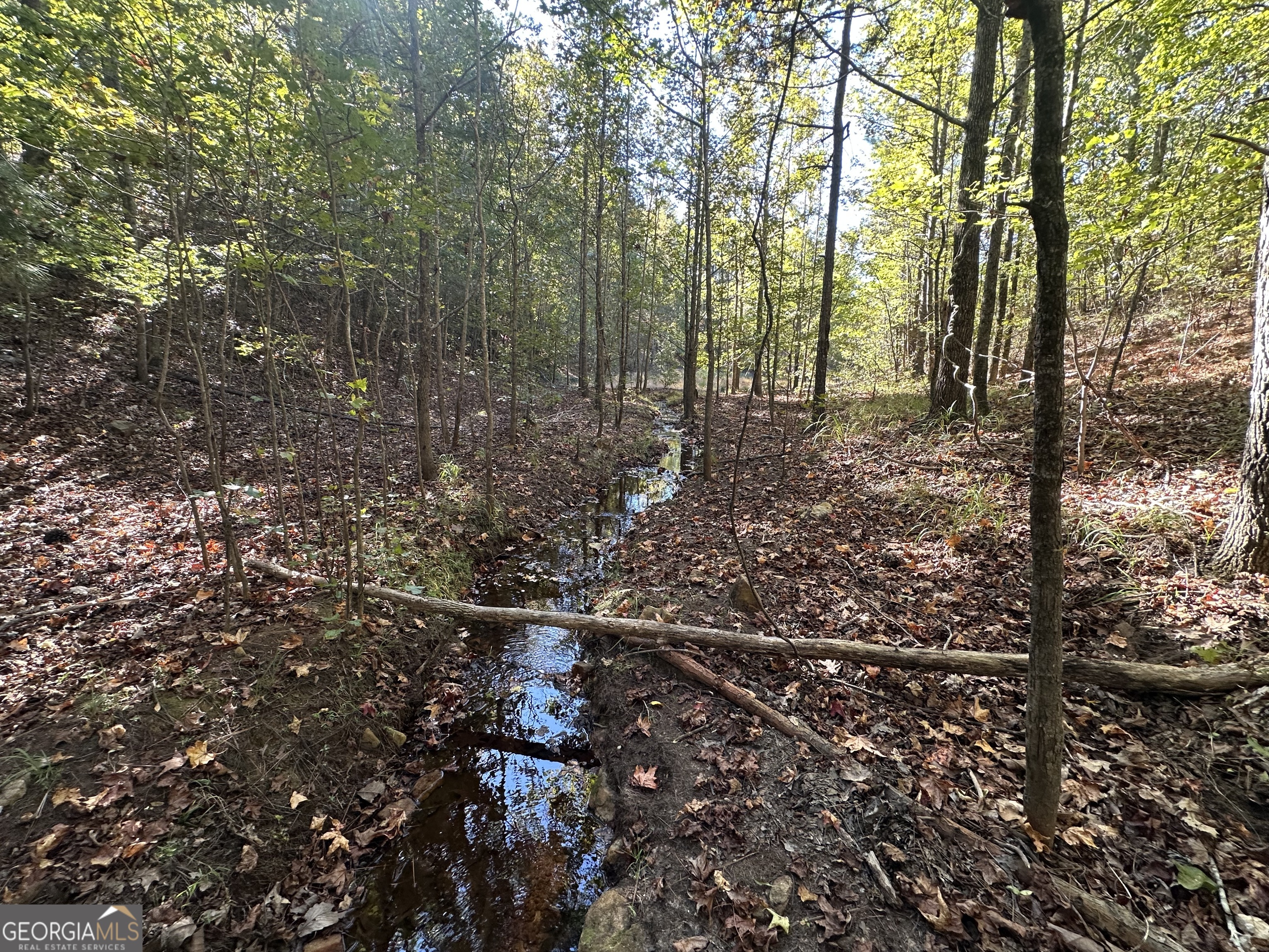 0 Hamp Smith Road Thomaston GA 30286