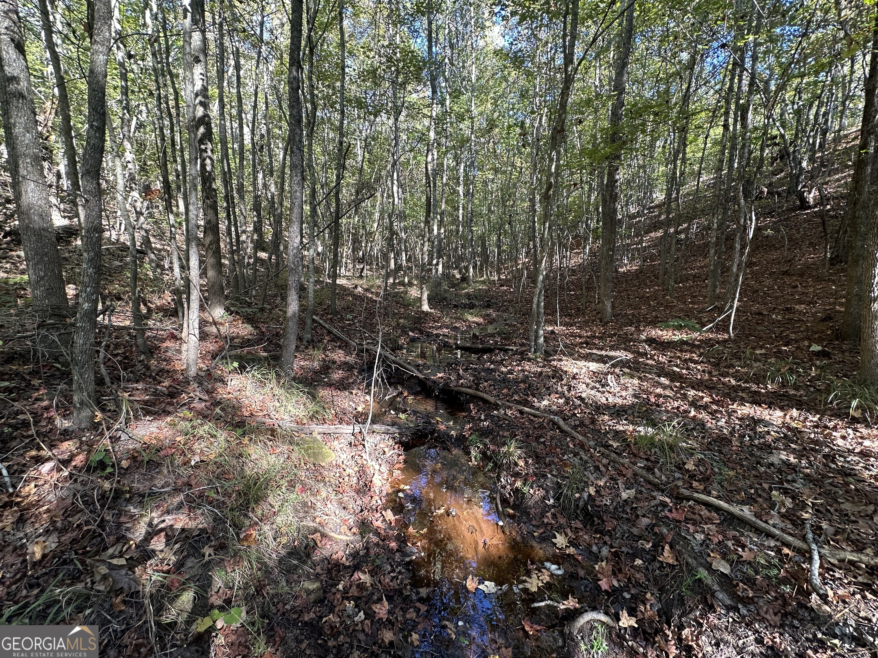 0 Hamp Smith Road Thomaston GA 30286