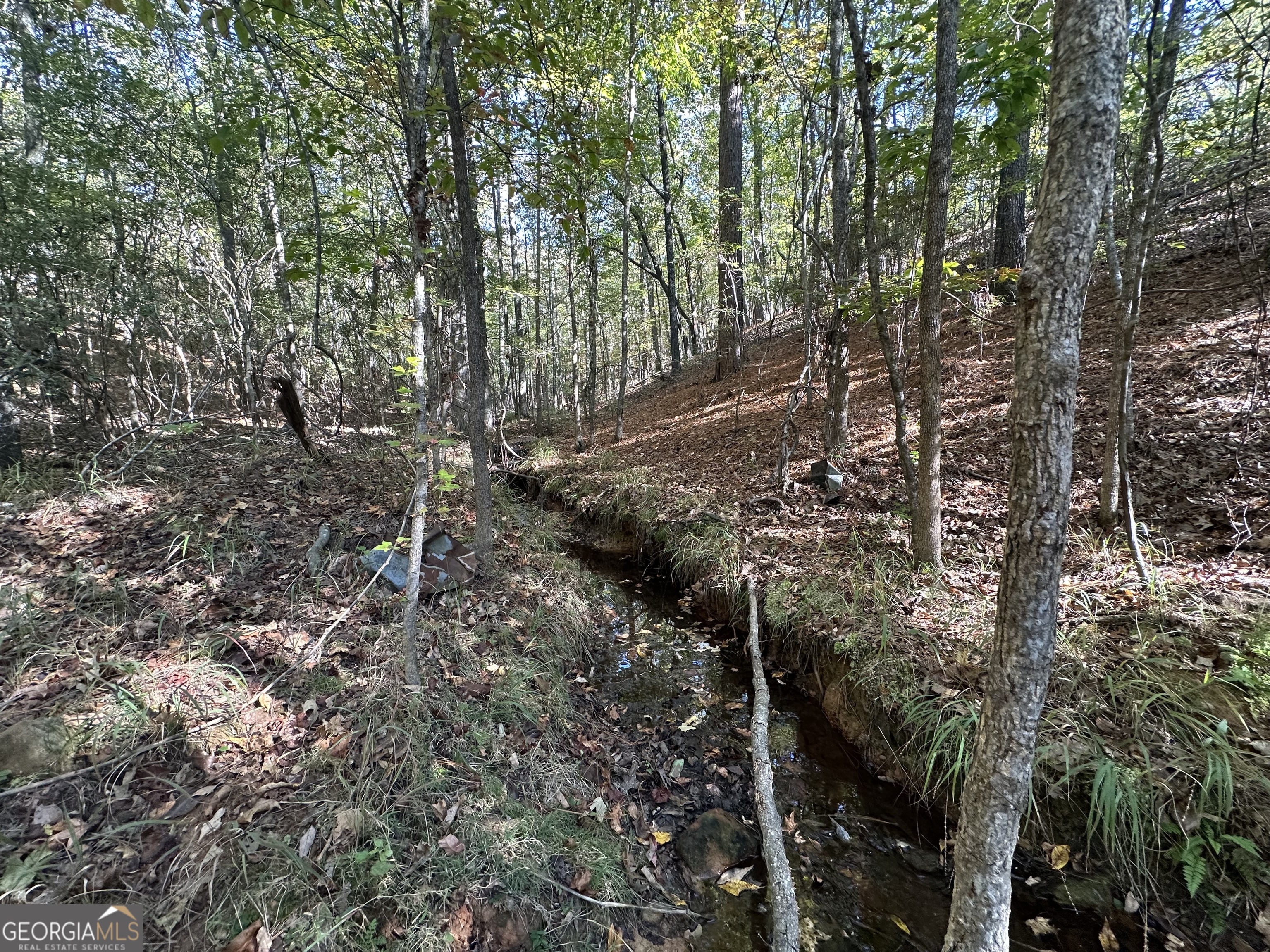 0 Hamp Smith Road Thomaston GA 30286