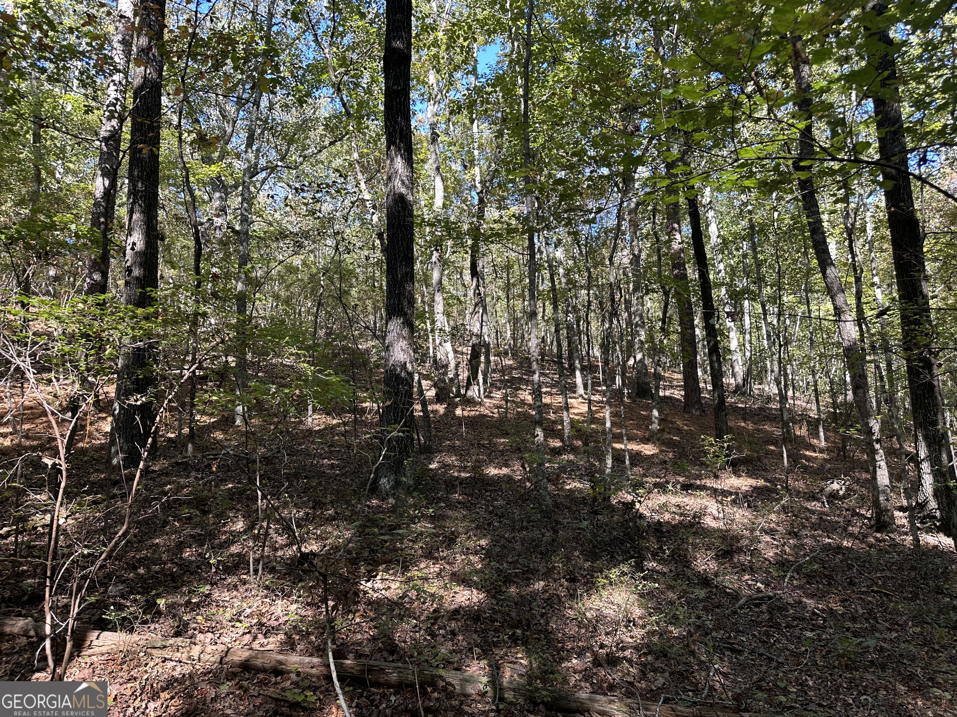 0 Hamp Smith Road Thomaston GA 30286