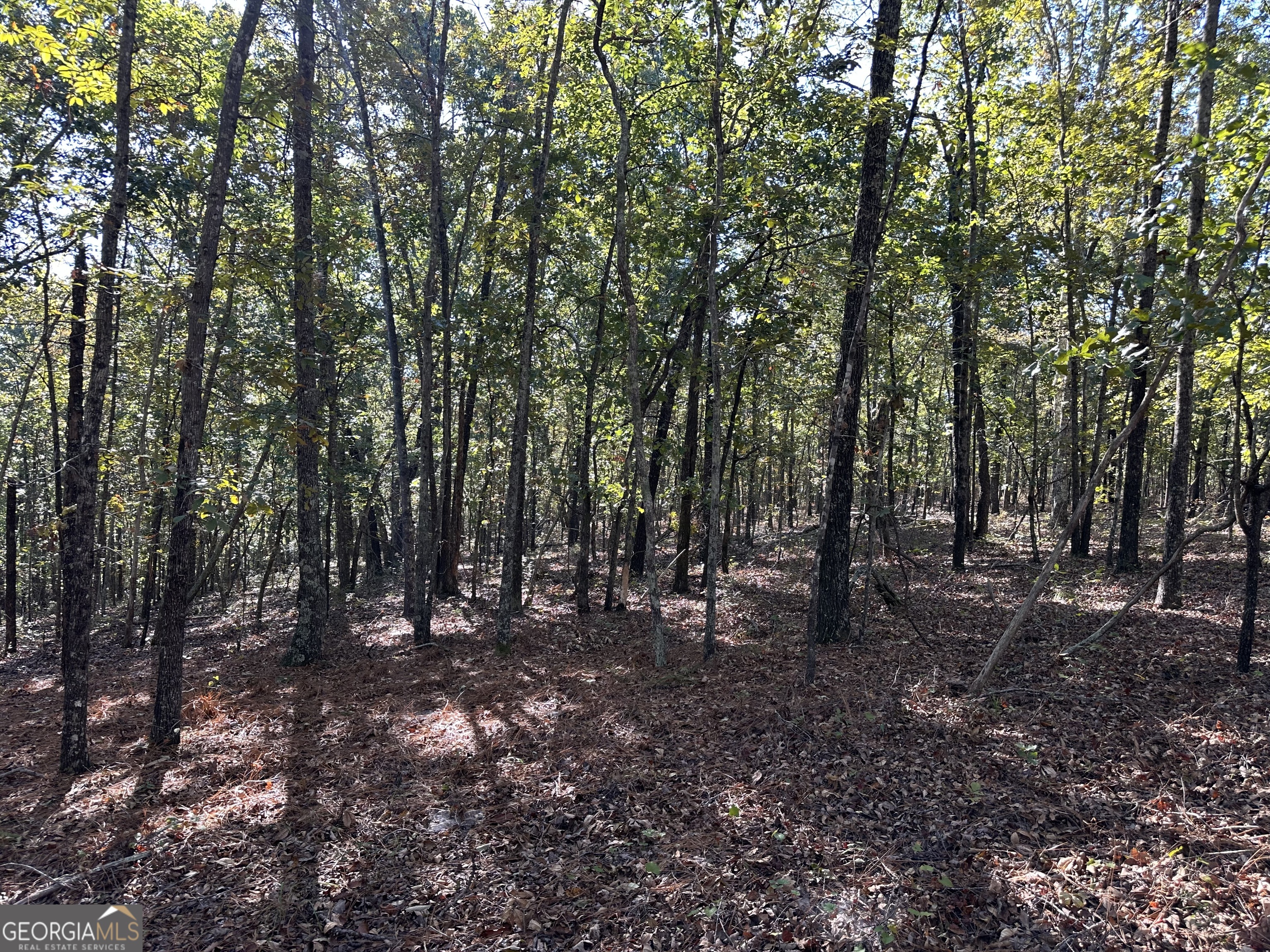 0 Hamp Smith Road Thomaston GA 30286