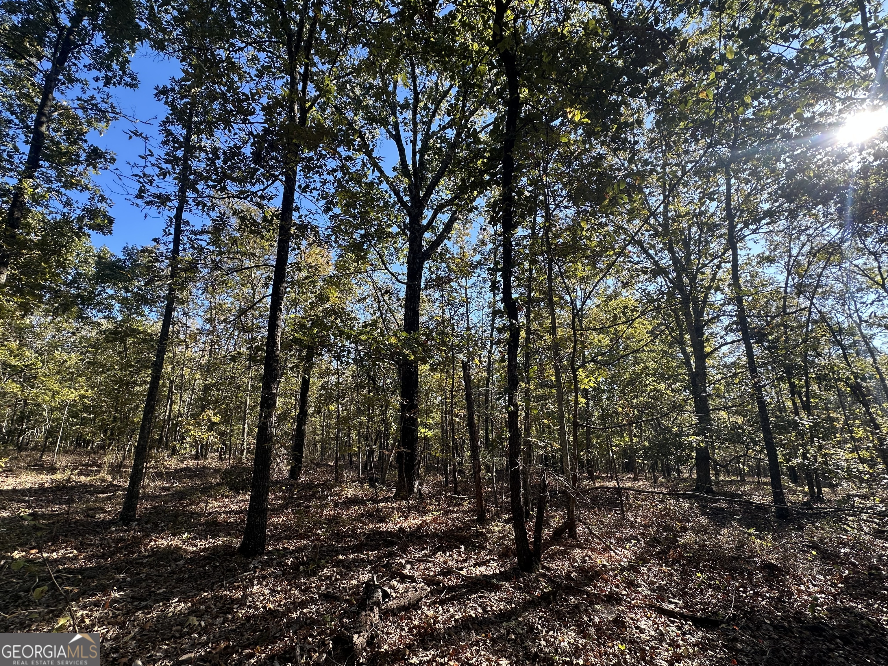 0 Hamp Smith Road Thomaston GA 30286